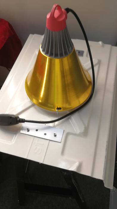 Pig Infrared Heat Lamp