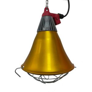 Pig Infrared Heat Lamp