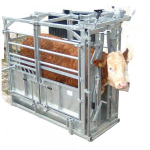 Cattle Crush