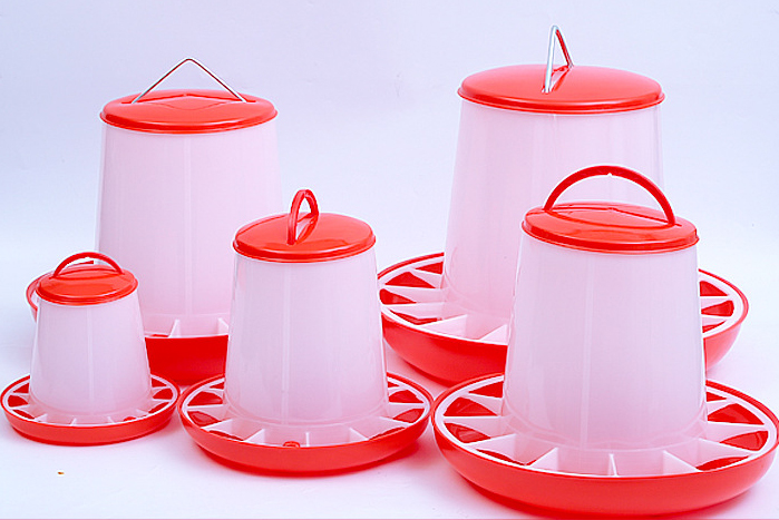 Poultry Feeder