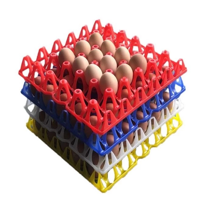 Chicken Eggs Tray