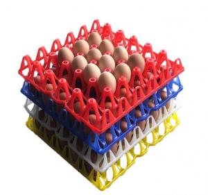 Chicken Eggs Tray