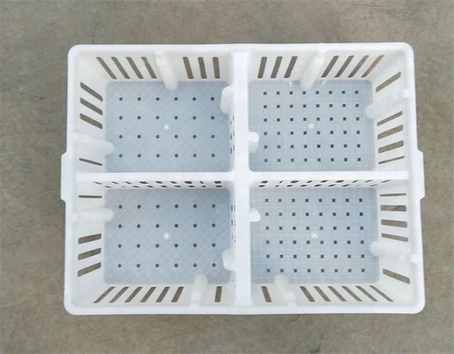 Plastic Transport Cage