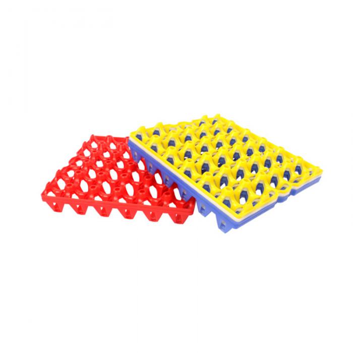 Chicken Eggs Tray