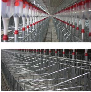 Gestation Crate